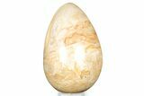 Polished Jasper Egg - Madagascar #323081-1